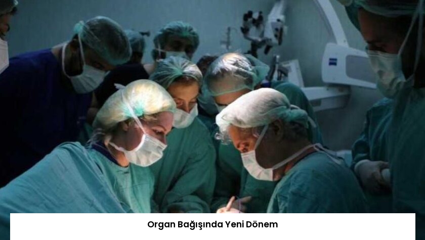 Organ Bağışında Yeni Dönem