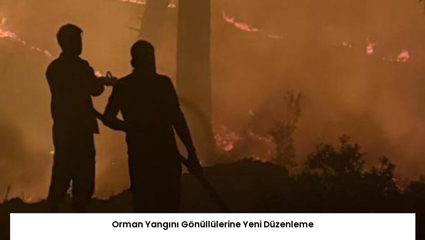 Orman Yangını Gönüllülerine Yeni Düzenleme