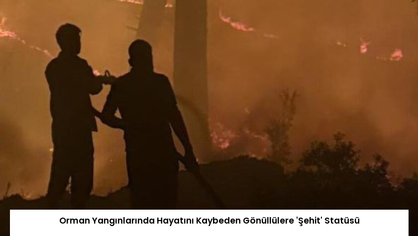 Orman Yangınlarında Hayatını Kaybeden Gönüllülere ‘Şehit’ Statüsü