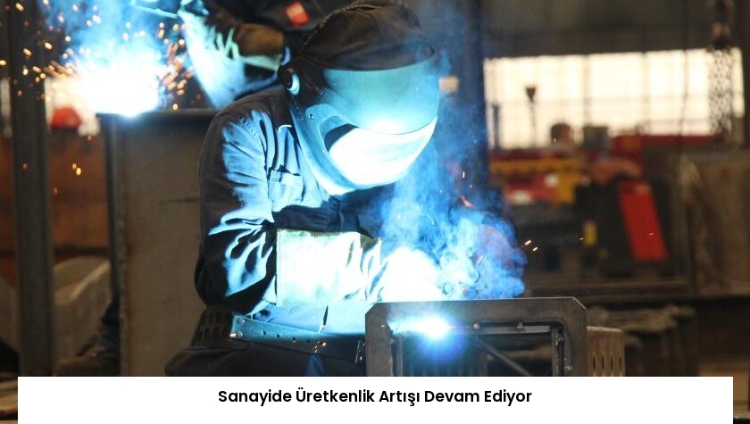 Sanayide Üretkenlik Artışı Devam Ediyor