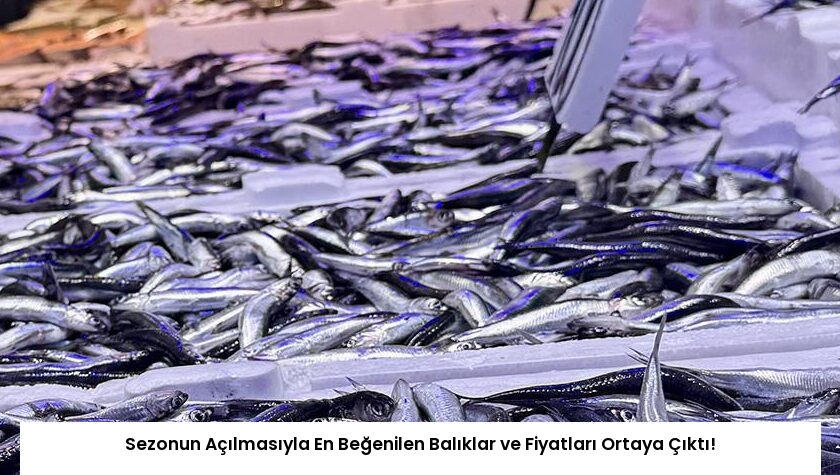 Sezonun Açılmasıyla En Beğenilen Balıklar ve Fiyatları Ortaya Çıktı!