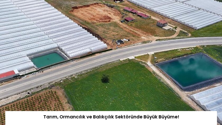 Tarım, Ormancılık ve Balıkçılık Sektöründe Büyük Büyüme!
