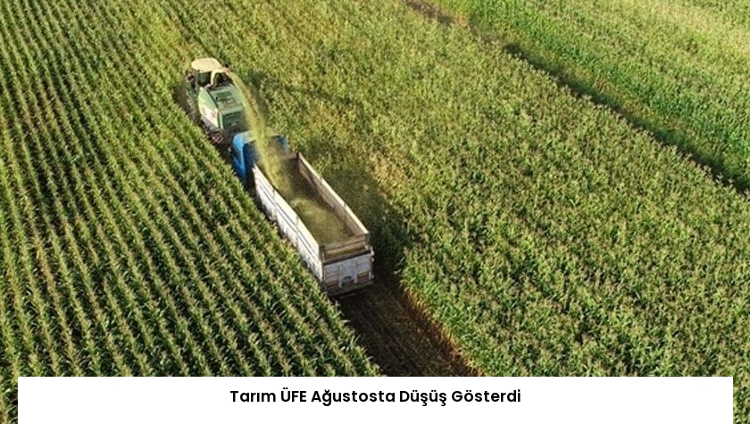 Tarım ÜFE Ağustosta Düşüş Gösterdi
