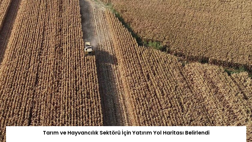 Tarım ve Hayvancılık Sektörü İçin Yatırım Yol Haritası Belirlendi
