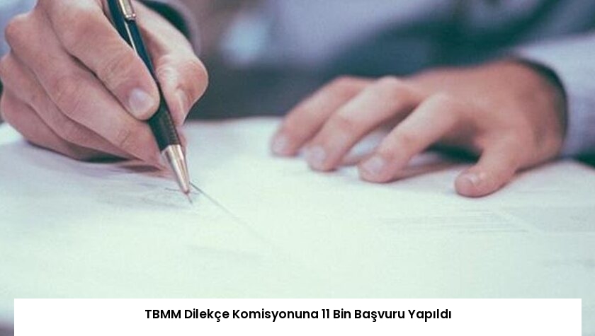 TBMM Dilekçe Komisyonuna 11 Bin Başvuru Yapıldı