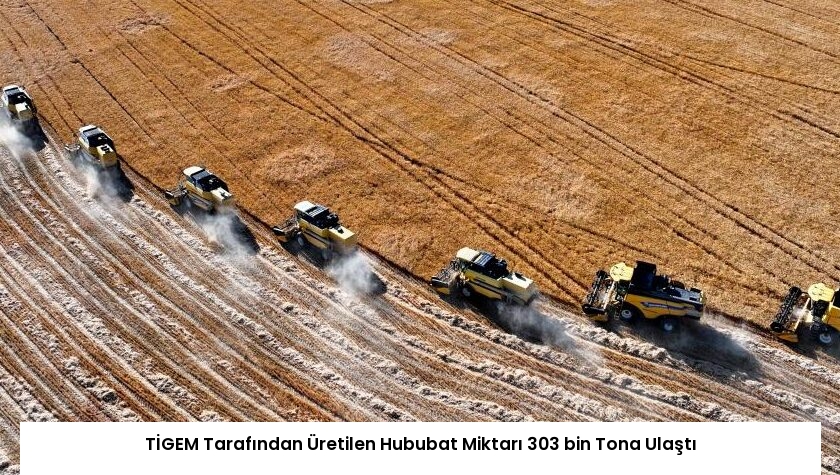 TİGEM Tarafından Üretilen Hububat Miktarı 303 bin Tona Ulaştı
