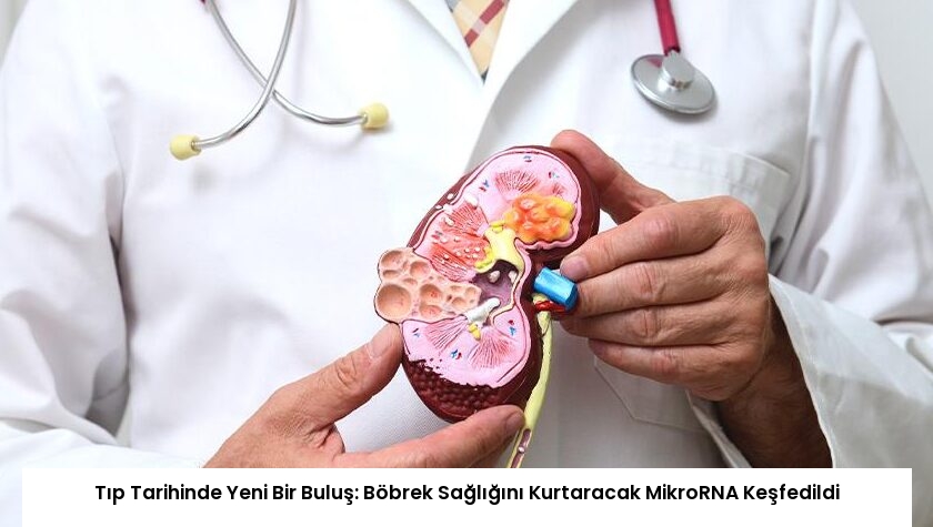 Tıp Tarihinde Yeni Bir Buluş: Böbrek Sağlığını Kurtaracak MikroRNA Keşfedildi