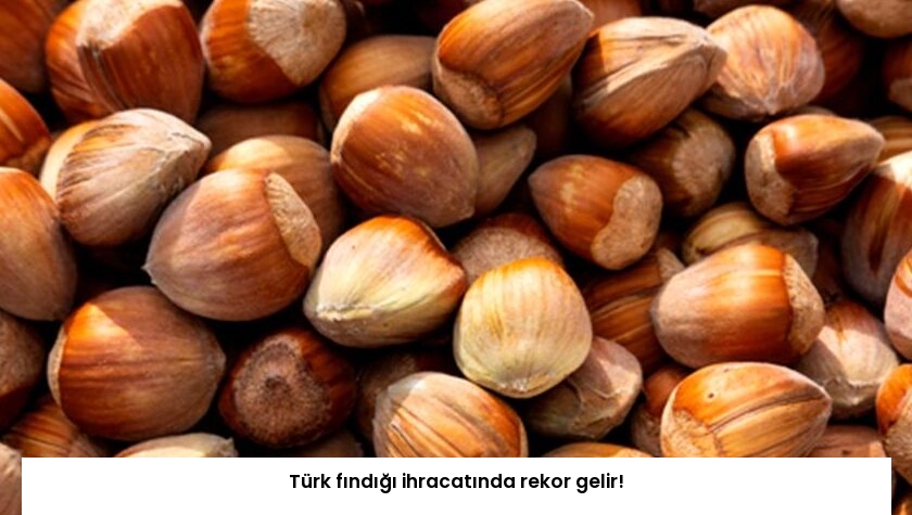 Türk fındığı ihracatında rekor gelir!
