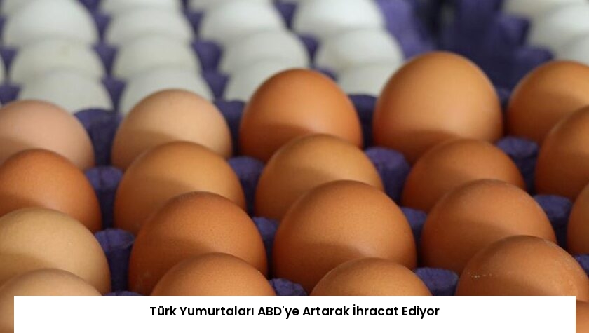 Türk Yumurtaları ABD’ye Artarak İhracat Ediyor