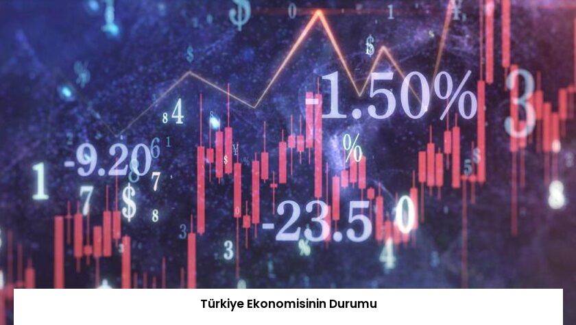 Türkiye Ekonomisinin Durumu