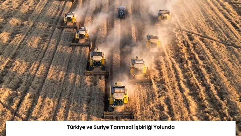 Türkiye ve Suriye Tarımsal İşbirliği Yolunda