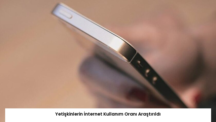 Yetişkinlerin İnternet Kullanım Oranı Araştırıldı