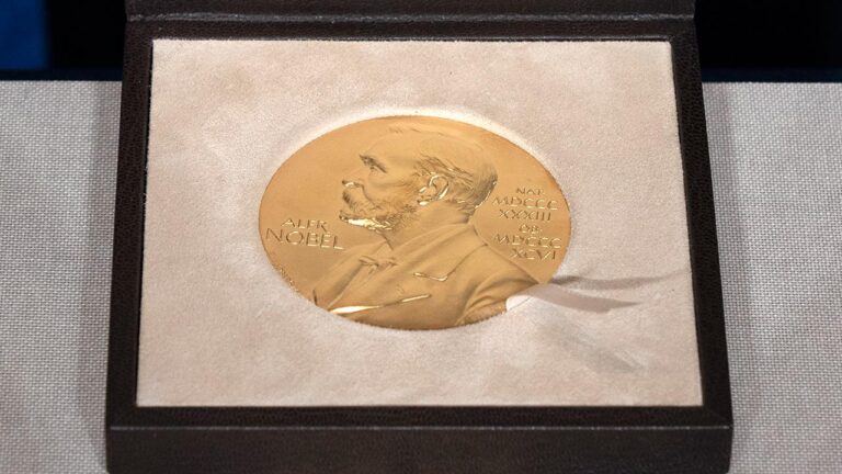 2025 Nobel Kimya Ödülü Sahibini Buldu