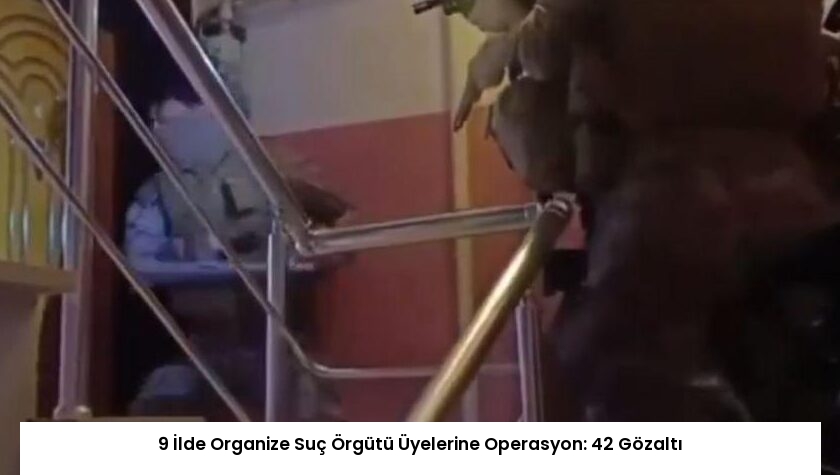 9 İlde Organize Suç Örgütü Üyelerine Operasyon: 42 Gözaltı