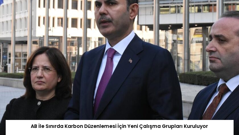 AB İle Sınırda Karbon Düzenlemesi İçin Yeni Çalışma Grupları Kuruluyor