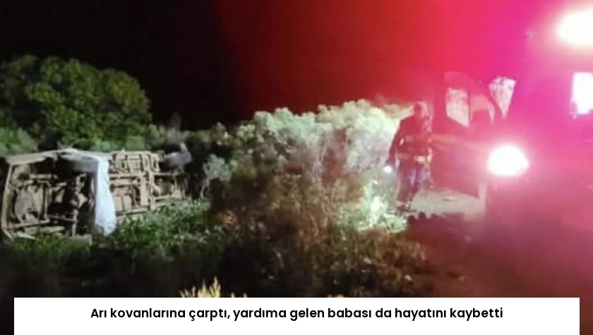 Arı kovanlarına çarptı, yardıma gelen babası da hayatını kaybetti