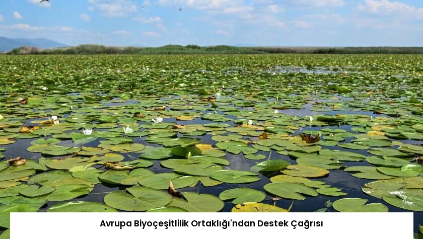 Avrupa Biyoçeşitlilik Ortaklığı’ndan Destek Çağrısı