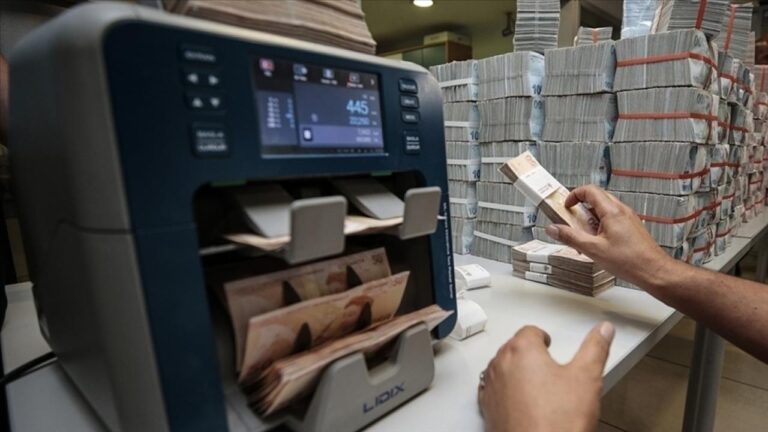 Bankalardaki Mevduat Rekor Seviyeye Ulaştı
