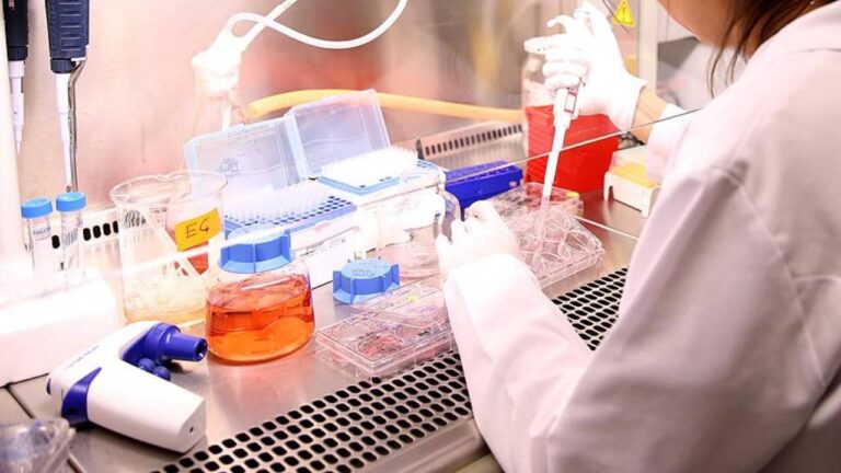 Bilim İnsanları Besin Moleküllerini Kullanarak Hücreleri Genç Tutmaya Başardı