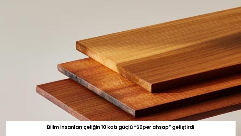 Bilim insanları çeliğin 10 katı güçlü “Süper ahşap” geliştirdi