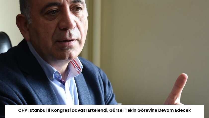 CHP İstanbul İl Kongresi Davası Ertelendi, Gürsel Tekin Görevine Devam Edecek