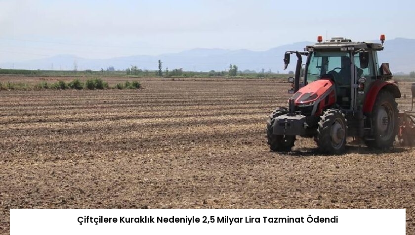 Çiftçilere Kuraklık Nedeniyle 2,5 Milyar Lira Tazminat Ödendi