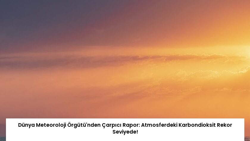 Dünya Meteoroloji Örgütü’nden Çarpıcı Rapor: Atmosferdeki Karbondioksit Rekor Seviyede!