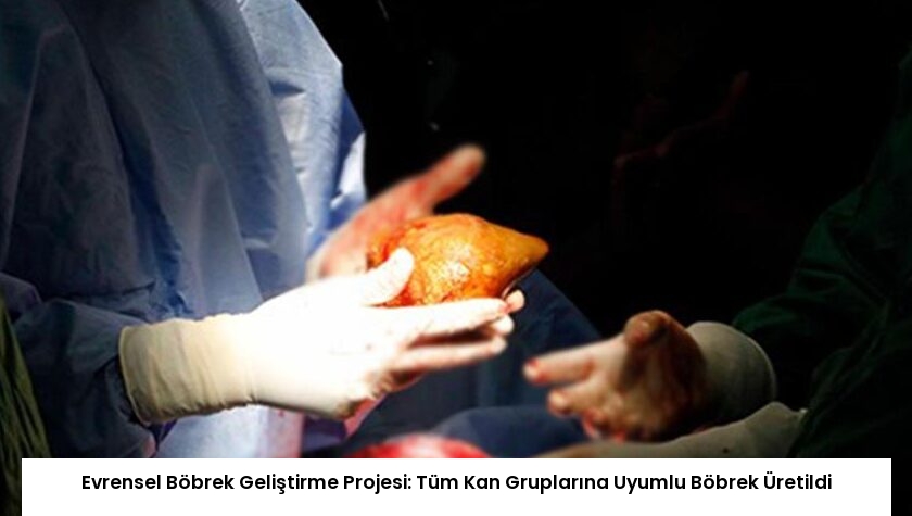 Evrensel Böbrek Geliştirme Projesi: Tüm Kan Gruplarına Uyumlu Böbrek Üretildi