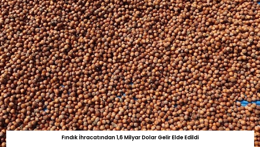 Fındık İhracatından 1,6 Milyar Dolar Gelir Elde Edildi