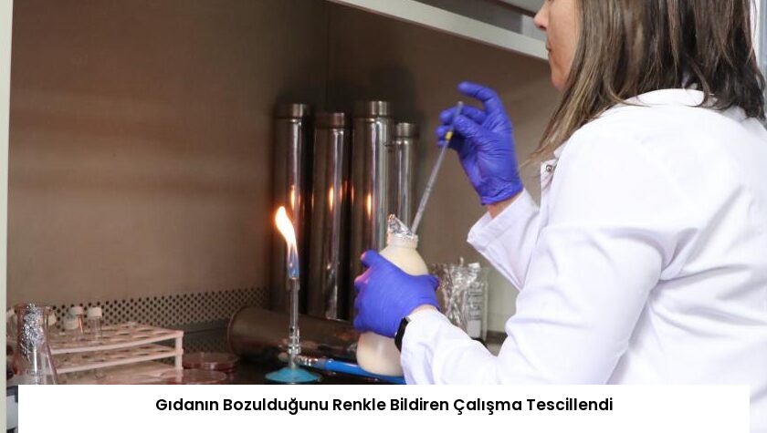Gıdanın Bozulduğunu Renkle Bildiren Çalışma Tescillendi