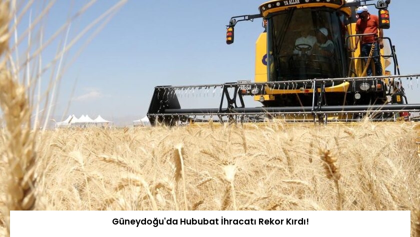 Güneydoğu’da Hububat İhracatı Rekor Kırdı!