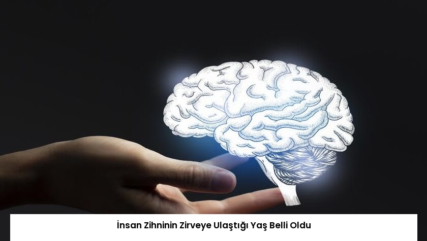 İnsan Zihninin Zirveye Ulaştığı Yaş Belli Oldu