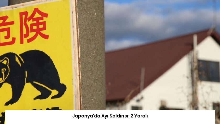 Japonya’da Ayı Saldırısı: 2 Yaralı