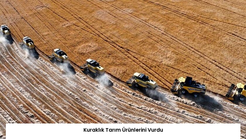 Kuraklık Tarım Ürünlerini Vurdu