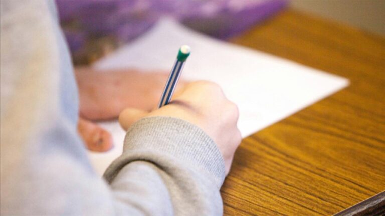 MEB, tarım işçisi ailelerin çocukları için telafi kursları düzenliyor
