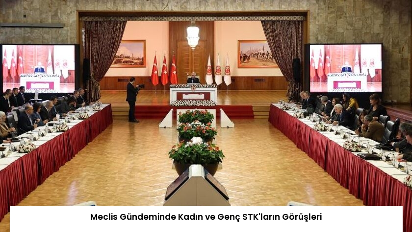 Meclis Gündeminde Kadın ve Genç STK’ların Görüşleri