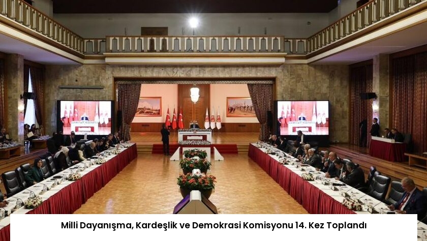 Milli Dayanışma, Kardeşlik ve Demokrasi Komisyonu 14. Kez Toplandı