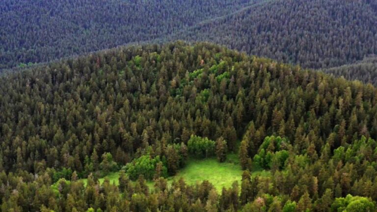 Milli Parklar Kanun Teklifi TBMM’de Onaylandı