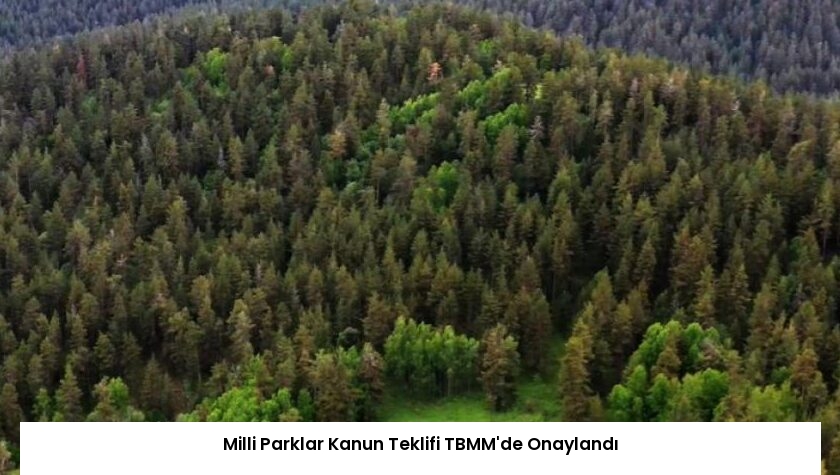 Milli Parklar Kanun Teklifi TBMM’de Onaylandı