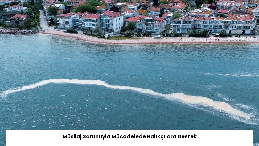 Müsilaj Sorunuyla Mücadelede Balıkçılara Destek