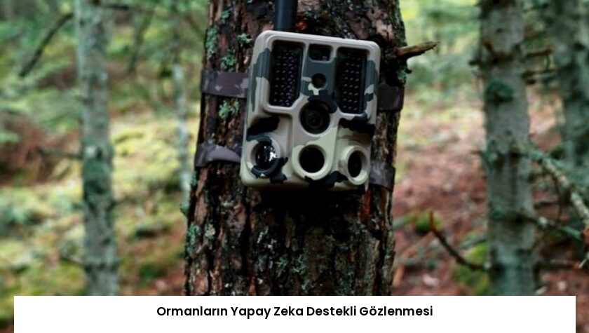 Ormanların Yapay Zeka Destekli Gözlenmesi