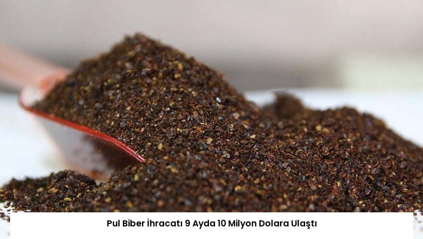Pul Biber İhracatı 9 Ayda 10 Milyon Dolara Ulaştı