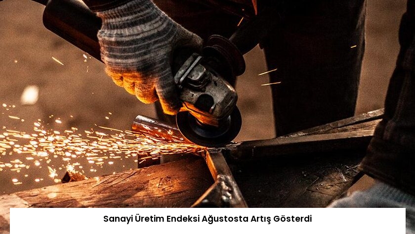 Sanayi Üretim Endeksi Ağustosta Artış Gösterdi