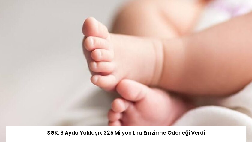 SGK, 8 Ayda Yaklaşık 325 Milyon Lira Emzirme Ödeneği Verdi