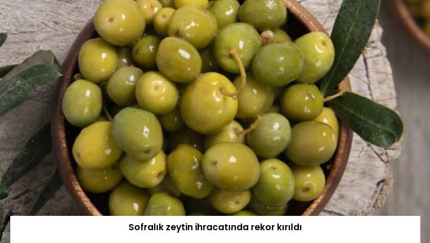 Sofralık zeytin ihracatında rekor kırıldı