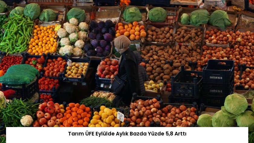 Tarım ÜFE Eylülde Aylık Bazda Yüzde 5,8 Arttı