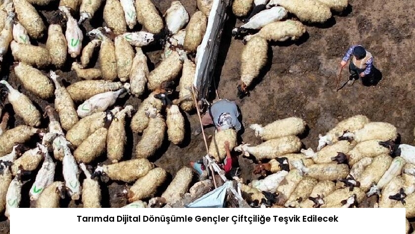 Tarımda Dijital Dönüşümle Gençler Çiftçiliğe Teşvik Edilecek