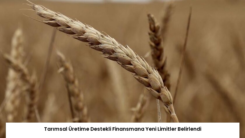 Tarımsal Üretime Destekli Finansmana Yeni Limitler Belirlendi