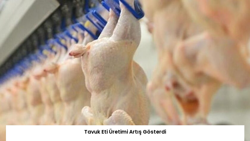 Tavuk Eti Üretimi Artış Gösterdi