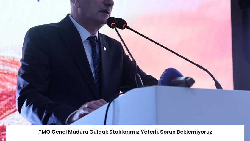 TMO Genel Müdürü Güldal: Stoklarımız Yeterli, Sorun Beklemiyoruz
